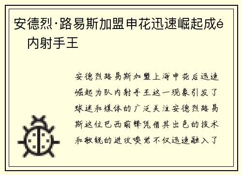 安德烈·路易斯加盟申花迅速崛起成队内射手王 安德烈·路易斯加盟申花迅速崛起成队内射手王
