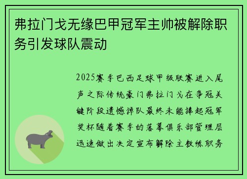 弗拉门戈无缘巴甲冠军主帅被解除职务引发球队震动 弗拉门戈无缘巴甲冠军主帅被解除职务引发球队震动